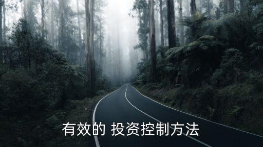 有效的 投資控制方法