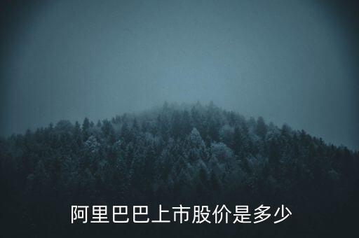  阿里巴巴上市股價(jià)是多少