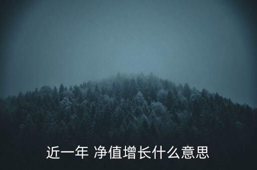 近一年 凈值增長(zhǎng)什么意思