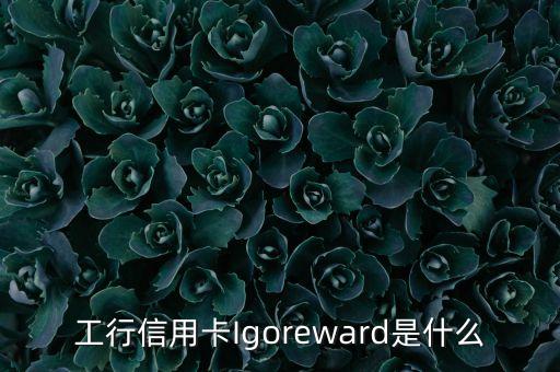 工行信用卡Igoreward是什么