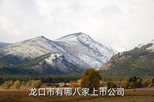 山東鋼圈股份有限公司,山東羅欣藥業(yè)集團(tuán)股份有限公司