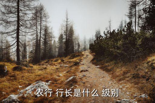 農(nóng)行 行長(zhǎng)是什么 級(jí)別