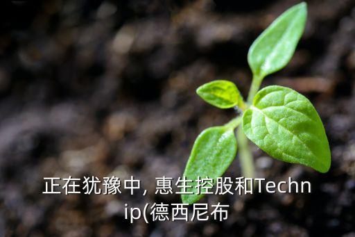 正在猶豫中, 惠生控股和Technip(德西尼布