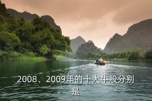 2008、2009年的十大牛股分別是