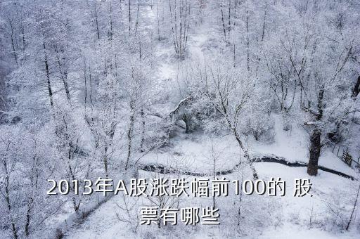 2013年A股漲跌幅前100的 股票有哪些