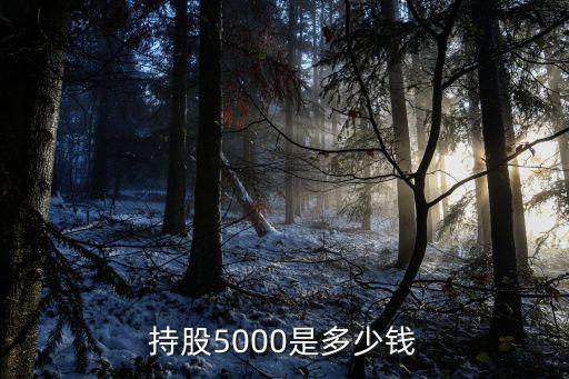 持股5000是多少錢