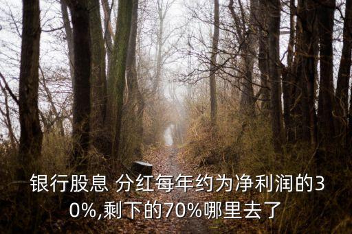  銀行股息 分紅每年約為凈利潤的30%,剩下的70%哪里去了