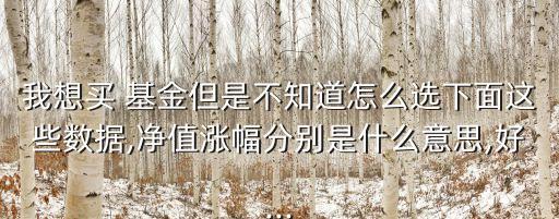 我想買 基金但是不知道怎么選下面這些數據,凈值漲幅分別是什么意思,好...