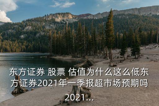 東方證券 股票 估值為什么這么低東方證券2021年一季報超市場預(yù)期嗎2021...