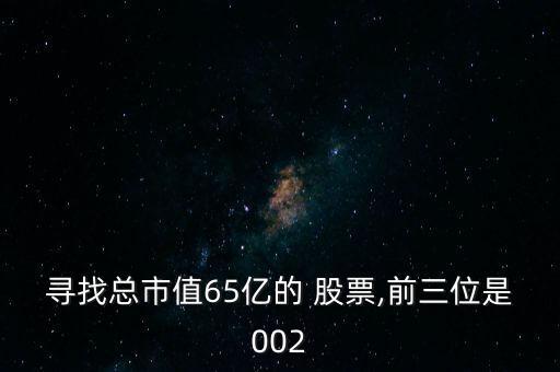 尋找總市值65億的 股票,前三位是002