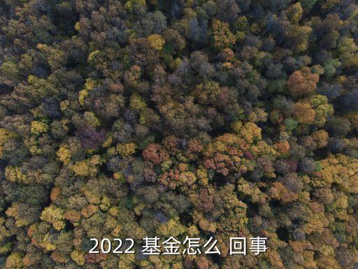 2022 基金怎么 回事