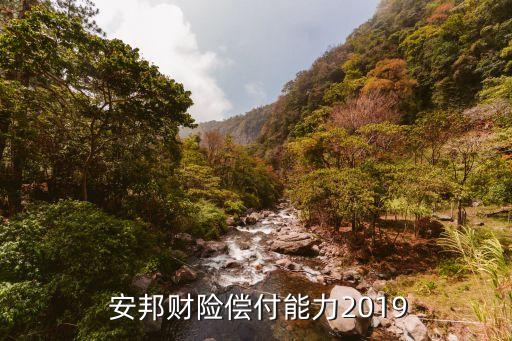  安邦財險償付能力2019