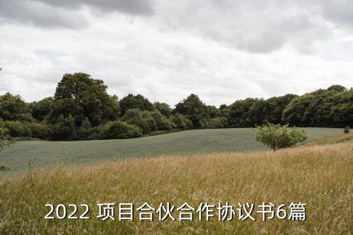 2022 項目合伙合作協(xié)議書6篇