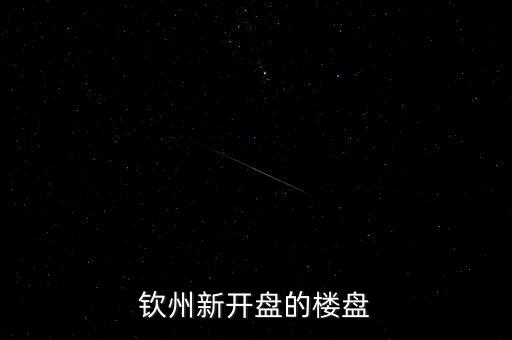 欽州新開盤的樓盤