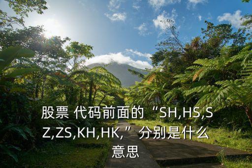  股票 代碼前面的“SH,HS,SZ,ZS,KH,HK,”分別是什么意思