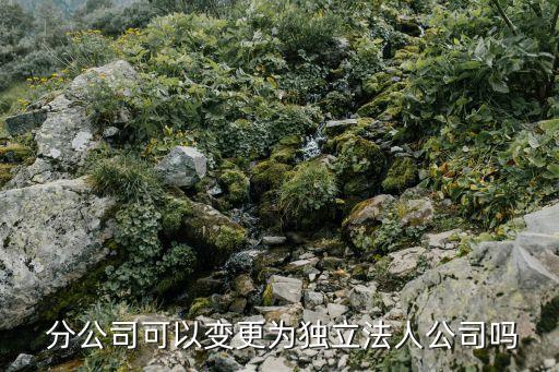  分公司可以變更為獨立法人公司嗎