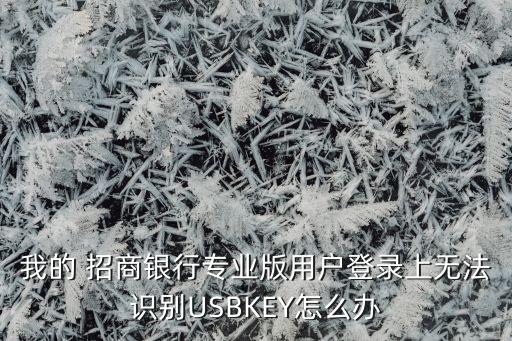 我的 招商銀行專業(yè)版用戶登錄上無法識別USBKEY怎么辦