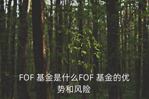 fof基金平均收益,FOF混合基金收益高嗎?