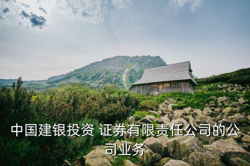 中國建銀投資 證券有限責(zé)任公司的公司業(yè)務(wù)