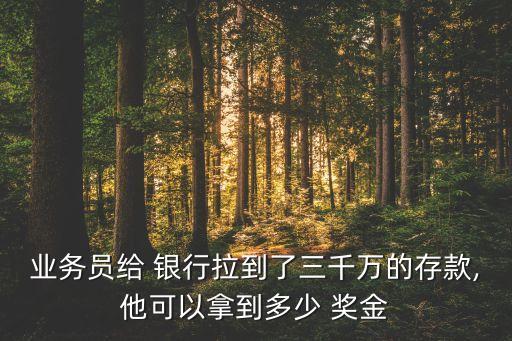 業(yè)務(wù)員給 銀行拉到了三千萬的存款,他可以拿到多少 獎(jiǎng)金