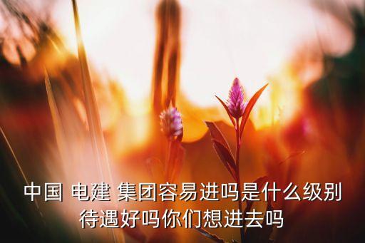 中國 電建 集團(tuán)容易進(jìn)嗎是什么級別待遇好嗎你們想進(jìn)去嗎