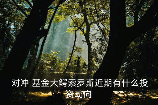  對(duì)沖 基金大鱷索羅斯近期有什么投資動(dòng)向