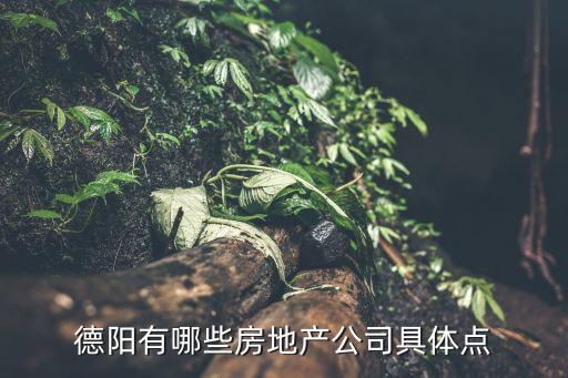 德陽有哪些房地產(chǎn)公司具體點(diǎn)