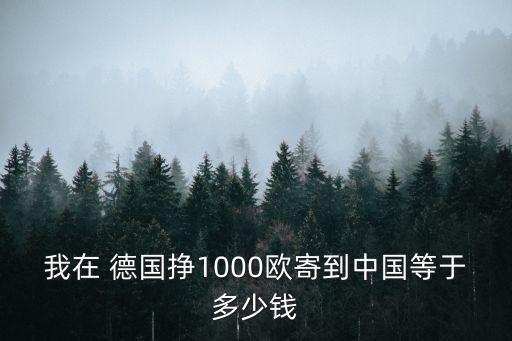 我在 德國掙1000歐寄到中國等于多少錢