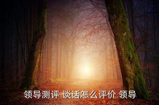  領導測評 談話怎么評價 領導