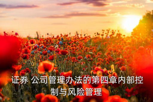  證券 公司管理辦法的第四章內部控制與風險管理