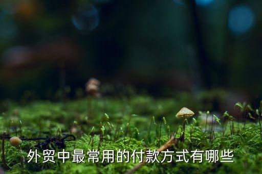 外貿(mào)中最常用的付款方式有哪些