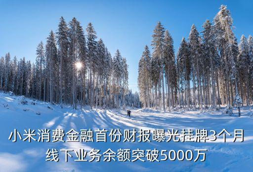 小米消費(fèi)金融首份財(cái)報(bào)曝光掛牌3個(gè)月線(xiàn)下業(yè)務(wù)余額突破5000萬(wàn)