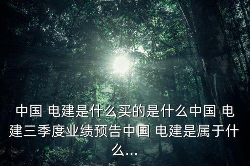 中國電建集團(tuán)攀枝花新能源公司