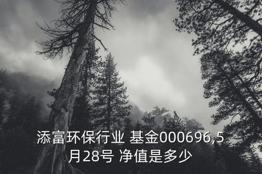 匯添富消費基金凈值,519018匯添富均衡基金凈值