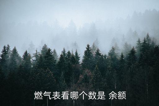  燃氣表看哪個數(shù)是 余額