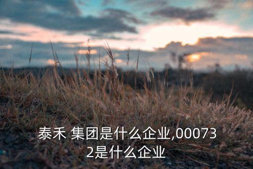  泰禾 集團(tuán)是什么企業(yè),000732是什么企業(yè)