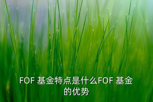 FOF 基金特點是什么FOF 基金的優(yōu)勢