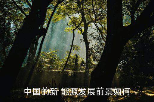 中國的新 能源發(fā)展前景如何