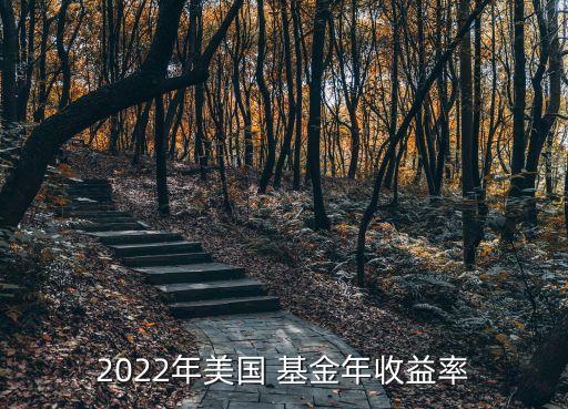 2022年美國 基金年收益率