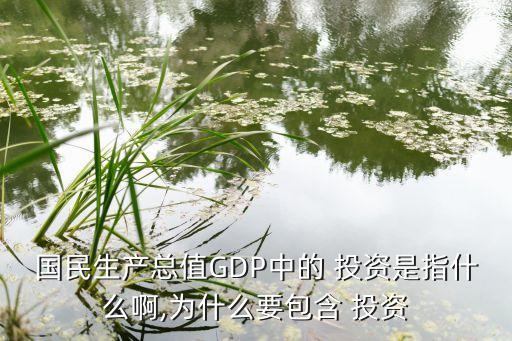 國(guó)民生產(chǎn)總值GDP中的 投資是指什么啊,為什么要包含 投資