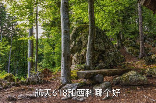 29所西科公司,西科知識產(chǎn)權(quán)公司