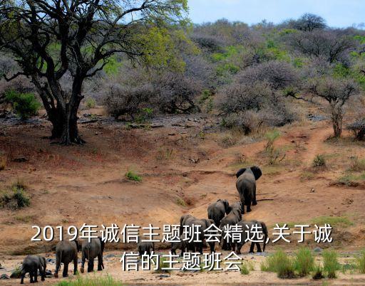 2019年誠信主題班會精選,關(guān)于誠信的主題班會