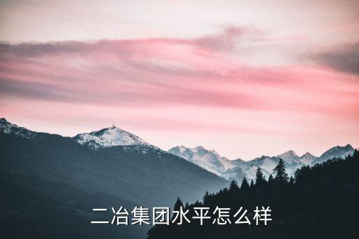  二冶集團水平怎么樣