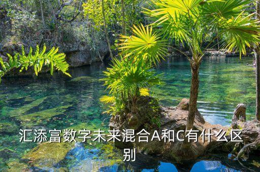  匯添富數(shù)字未來(lái)混合A和C有什么區(qū)別