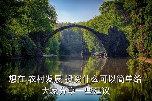 想在 農(nóng)村發(fā)展 投資什么可以簡(jiǎn)單給大家分享一些建議