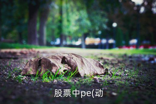  股票中pe(動(dòng)