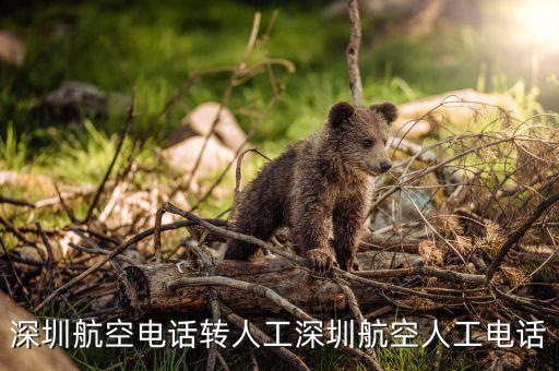 深圳航空電話轉(zhuǎn)人工深圳航空人工電話