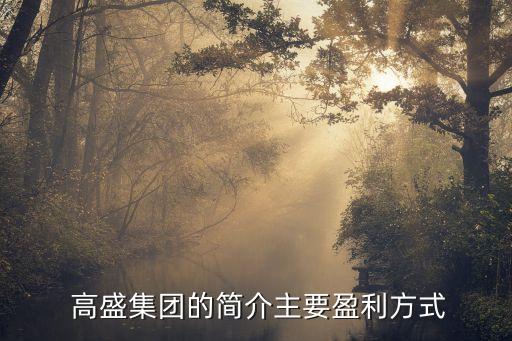  高盛集團(tuán)的簡(jiǎn)介主要盈利方式