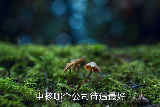  中核哪個(gè)公司待遇最好