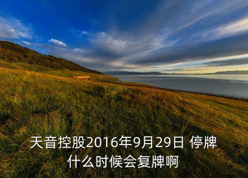 天音控股2016年9月29日 停牌什么時(shí)候會(huì)復(fù)牌啊